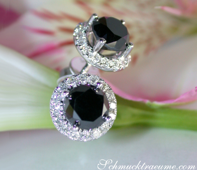 Schwarze Diamanten Solitär Ohrstecker in Weißgold 585
