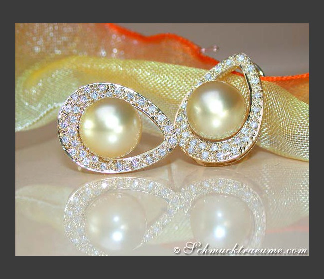Goldene Südseeperlen Ohrstecker Mikimoto