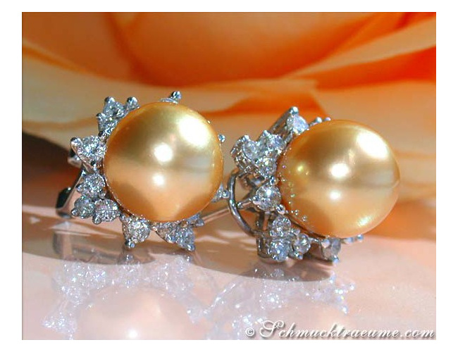 Pretty "Star" Studs with Golden Southsea Pearls & Diamonds