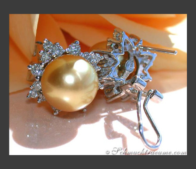 Goldene Südseeperlen Ohrstecker