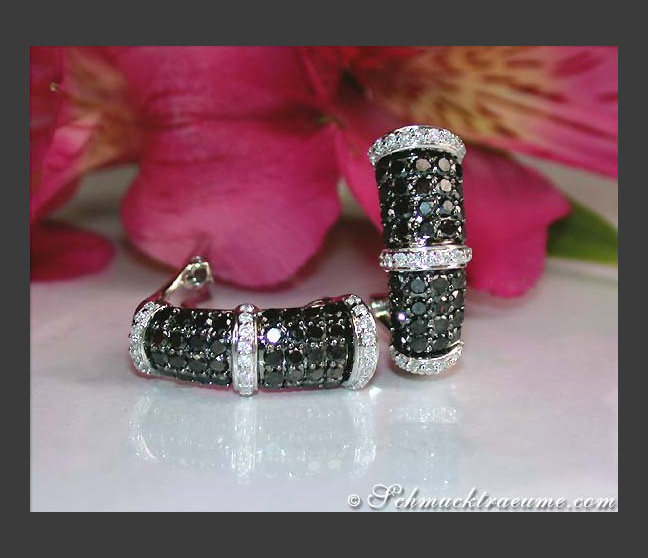 Brillanten & schwarze Diamanten Ohrstecker