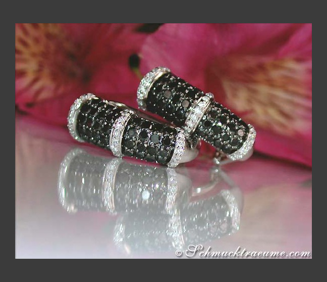 Brillanten & schwarze Diamanten Ohrstecker