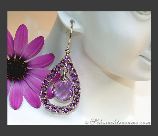 Amethyst Ohrhänger in Gelb Gold 585