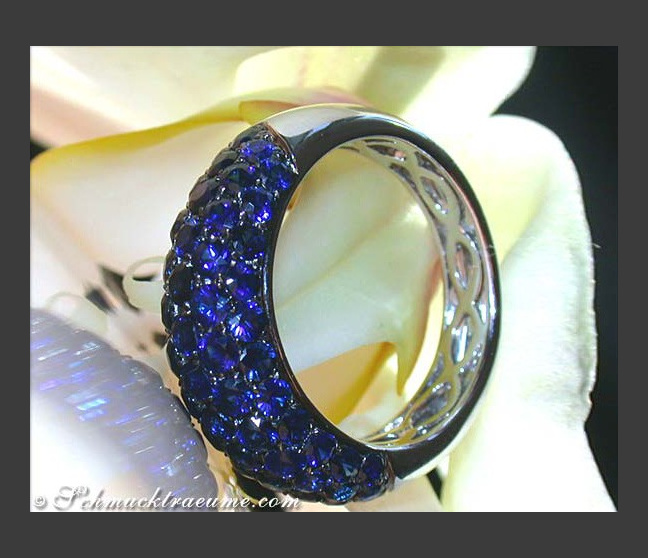 Saphir Pavé Ring in Weißgold 585