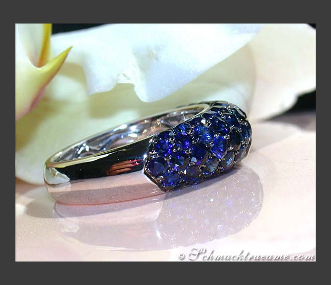 Saphir Pavé Ring in Weißgold 585