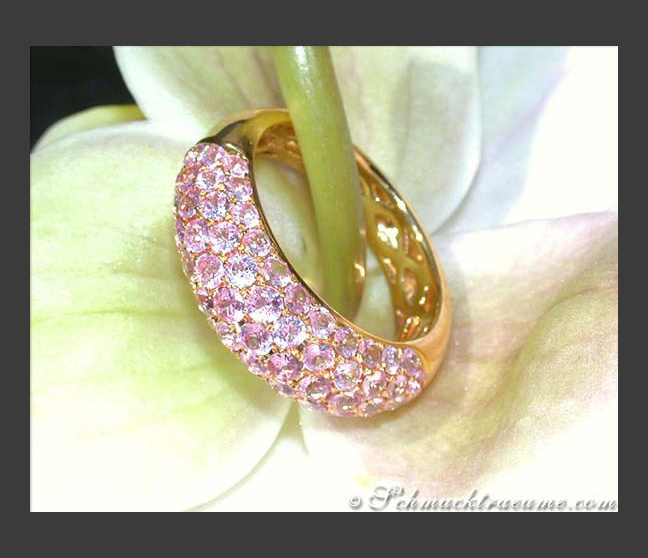 Rosa Saphir Pavé Ring in Gelbgold 585