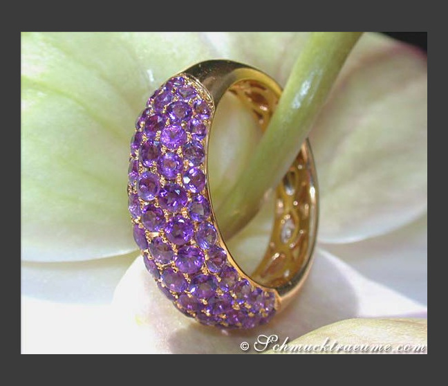 Edler Amethyst Pavé Ring in Gelbgold 585