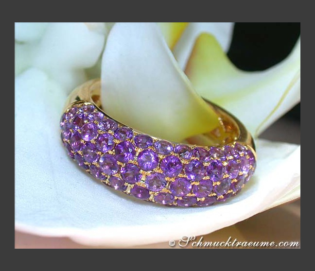 Edler Amethyst Pavé Ring in Gelbgold 585