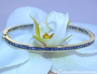 Pretty Sapphire Bangle #2