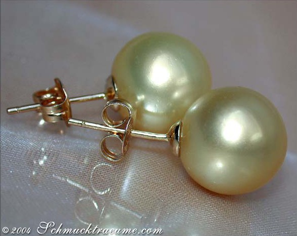 Timeless Golden Southsea Pearl Studs #1 Timeless Golden Southsea Pearl Studs #1