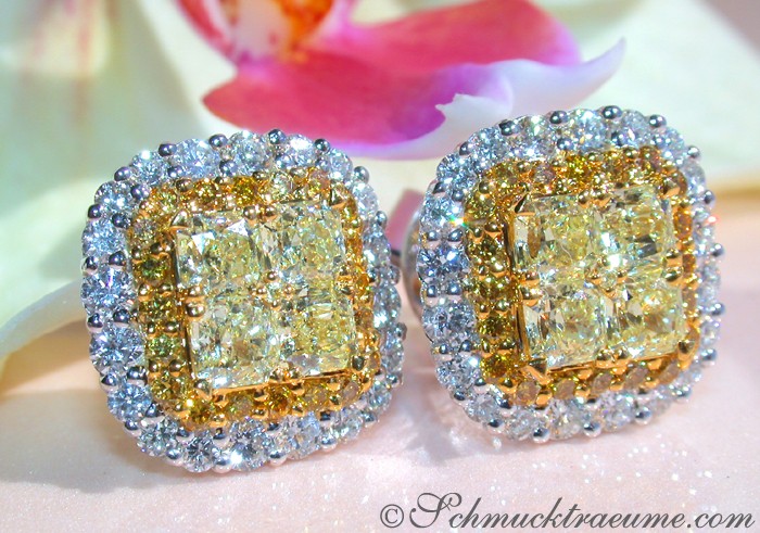 Exclusive Yellow & White Diamond Stud Earrings #1 Exclusive Yellow & White Diamond Stud Earrings #1