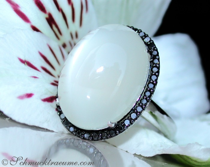 Fancy Moonstone Ring with Black Diamonds #1 Fancy Moonstone Ring with Black Diamonds #1