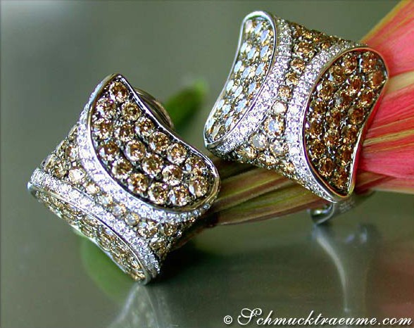 Attractive Brown & White Diamond Studs #1 Attractive Brown & White Diamond Studs #1