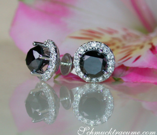 Precious Black Diamond Solitaire Stud Earrings Precious Black Diamond Solitaire Stud Earrings