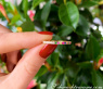 Wandelbarer Brillanten Memory Ring mit Multicolor Saphiren #14
