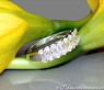 Edler Diamantring mit Baguette Diamanten in Weißgold 750 #2