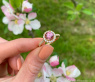 Femininer Rosa Malaya Granat Ring mit Brillanten #6