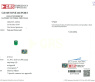 High Jewelry: Einzigartiger kolumbianischer Smaragd Ring  (Muzo Green, Minor Oil) #16