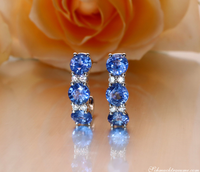 Charmante Saphir Ohrringe mit Brillanten #1 Charmante Saphir Ohrringe mit Brillanten #1