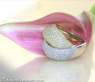 Auffallender Brillanten Ring in Gelbgold und Weißgold #3