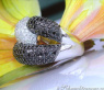 Voluminöser schwarze Diamanten Ring #3