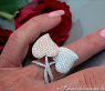 Exquisiter Doppel Herz Ring mit Diamanten #6