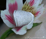 Hochkarätiger & extra breiter Brillant Ring (5,65 ct.) #2