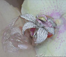 Ausgesuchter Brillanten Orchidee Ring im Saphiren #5