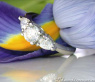Femininer Brillant Solitär Ring mit Tropfen Diamanten #2