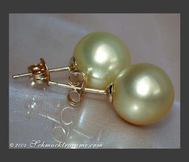 Erlesene goldene Südseeperlen Ohrstecker #1 Erlesene goldene Südseeperlen Ohrstecker #1