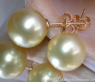 Timeless Golden Southsea Pearl Studs Timeless Golden Southsea Pearl Studs