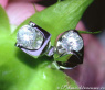 Elegante Brillant Solitär Ohrstecker (0,70 ct.) #2
