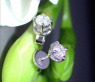 Feinste Brillant Solitär Ohrstecker (0,50 ct.) #5