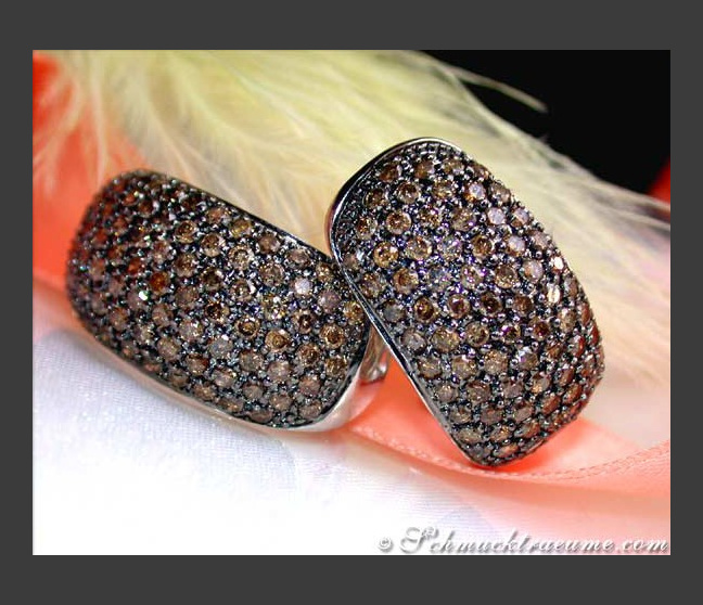 Massive Braune Brillanten Ohrstecker #1 Massive Braune Brillanten Ohrstecker #1