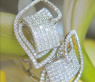 Exklusive Princess Diamant Ohrstecker #3