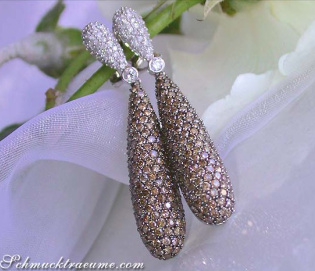 Prächtige Ohrringe mit braunen Diamanten Prächtige Ohrringe mit braunen Diamanten