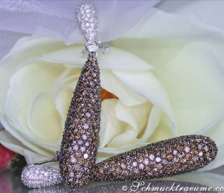 Prächtige Ohrringe mit braunen Diamanten Prächtige Ohrringe mit braunen Diamanten