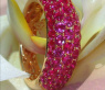 Edler Rubin Pavé Ring #4