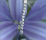 Extra langer Tahitiperle Anhänger mit Brillanten #4