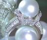 Herrlicher Südseeperle Brillanten Ring im Kragen Design #3