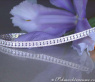 Hochkarätiges Brillant Armband (5,63 ct.) #5