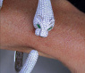 Exzellenter Panther Armreif mit Brillanten und Smaragden #6
