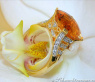 Strahlender Citrin Ring mit Brillanten #2