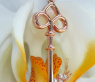 Feiner Diamanten Schlüssel Anhänger in Roségold #2