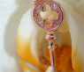 Zarter Diamanten Schlüssel Anhänger in Roségold #2