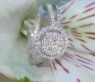 Zeitlos edler Brillanten Ring #4
