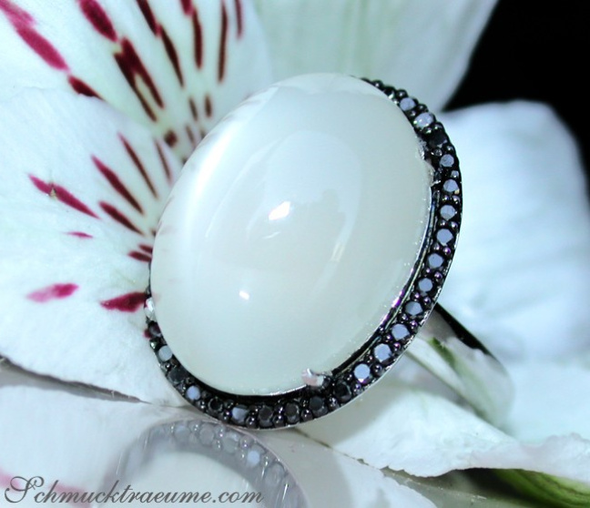 Extravaganter Mondstein Ring mit schwarzen Diamanten #1 Extravaganter Mondstein Ring mit schwarzen Diamanten #1
