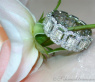 Exquisiter Brillanten Memory Ring mit Diamanten im Smaragd Schliff #6