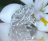 Erstklassiger Brillanten & Diamanten Ring im Blüten Design #6