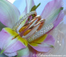 Mehrreihiger Brillanten Ring "Spirale" #3